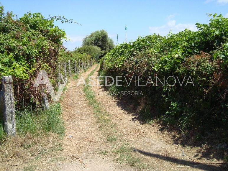 Terreno En Alquiler En Vilagarcía De Arousa (Pontevedra) - Ref: 0021 4/4